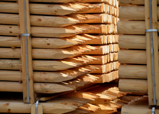 Galaholz-Seitenbild-1