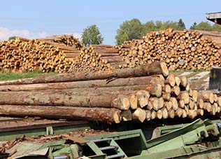 Holzhof-Seitenbild-2
