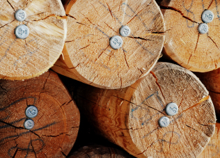 Holzmasten-Seitenbild-1