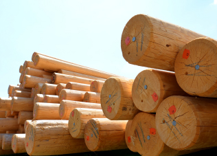 Holzmasten-Seitenbild-2