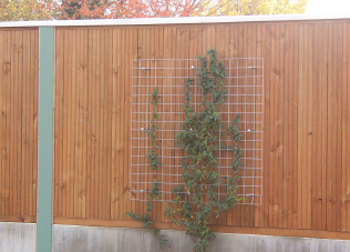 Reflektierend-Seitenbild-2