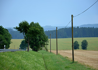 Seitenbild 1 Holzmasten & Holzhof