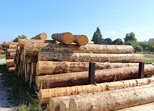 Seitenbild 2 Holzmasten & Holzhof